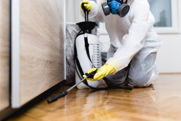 Best Flea Control Services  in Marion, OH