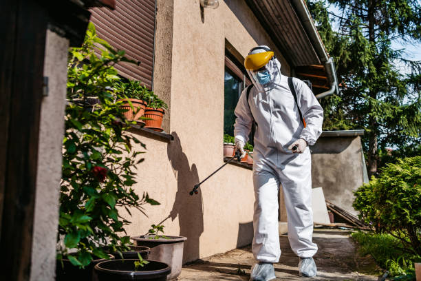 Best Affordable Pest Control Services  in Marion, OH