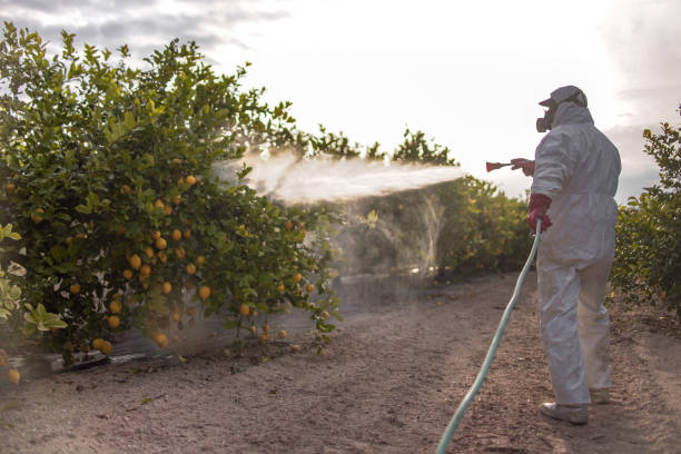 Best Pest Prevention Services  in Marion, OH