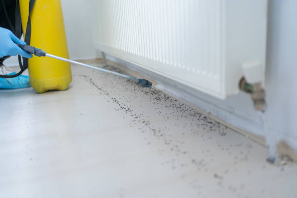 Best Mosquito Control Services  in Marion, OH